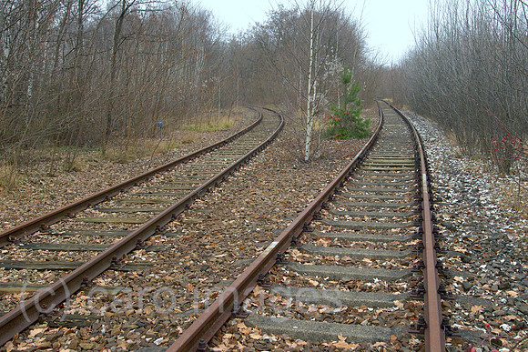 0CE071220D001CAROE.JPG