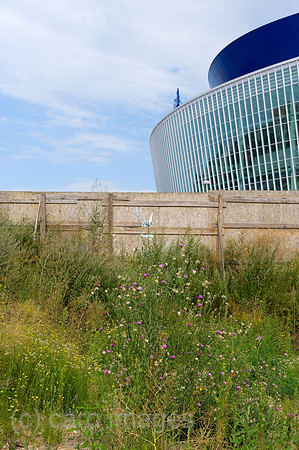 0CE090723D001CAROE.JPG