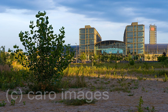 0CE090723D015CAROE.JPG
