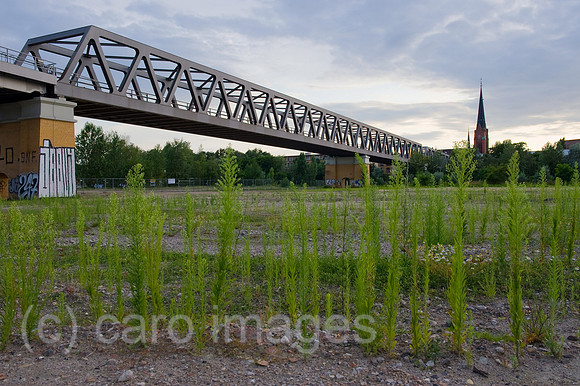 0CE090722D003CAROE.JPG