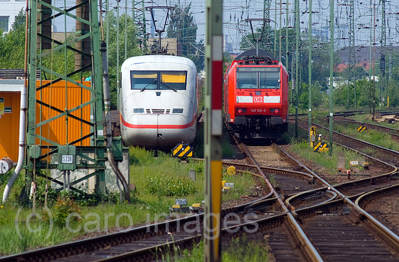 0CE070519D001CAROE.JPG