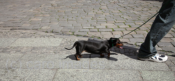 00A070510D002CARO.JPG