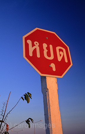 0EHD0002414CARO.JPG