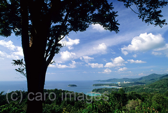 0EHD0002605CARO.JPG