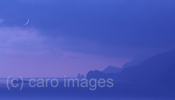 0EHD0000618CARO.JPG