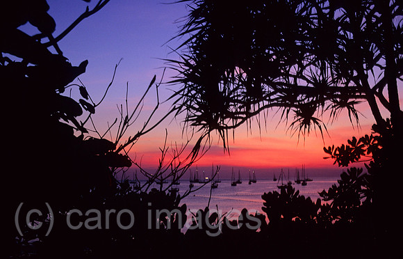 0EHD0002604CARO.JPG