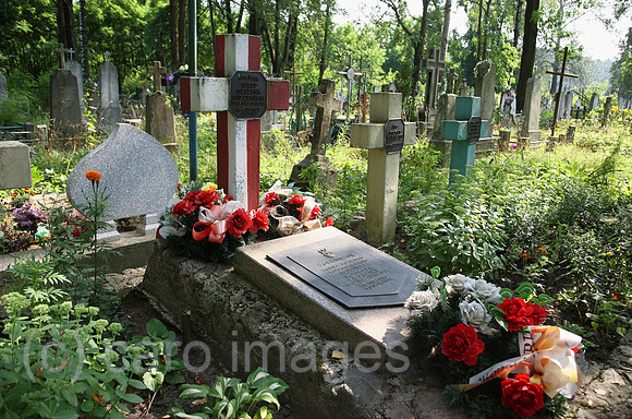 00A070810D290CARO.JPG