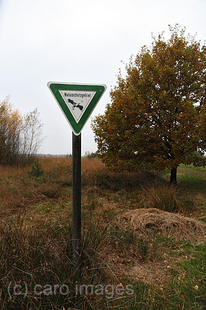00A071025D004CARO.JPG