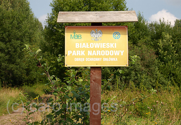00A070811D007CARO.JPG