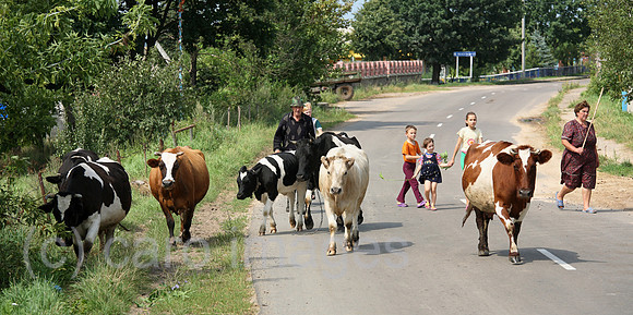 00A070810D041CARO.JPG