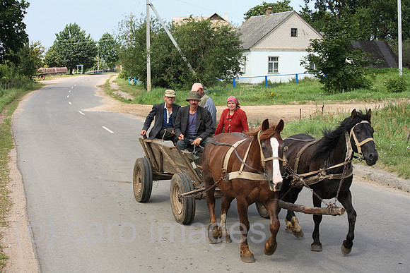 00A070810D056CARO.JPG