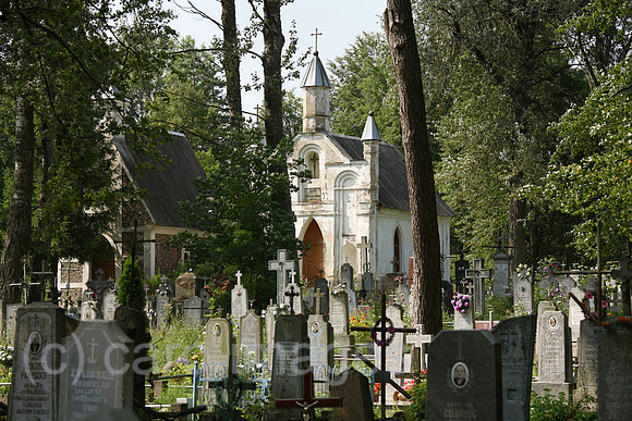 00A070810D232CARO.JPG
