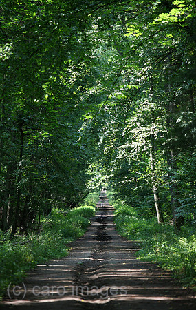 00A070811D212CARO.JPG