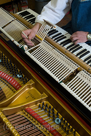 00K080926D005CARO.JPG
