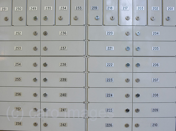 00K080925D021CARO.JPG
