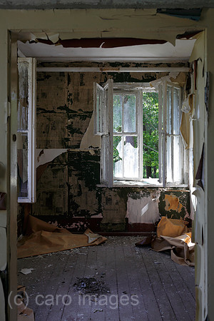 00P100625D087CARO.JPG
