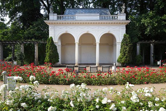 00P100628D196CARO.JPG