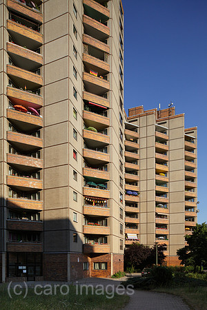00P100628D231CARO.JPG