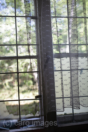 00P100625D104CARO.JPG