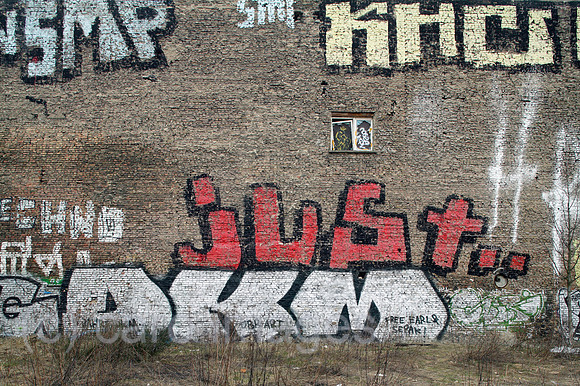 00P100316D039CARO.JPG