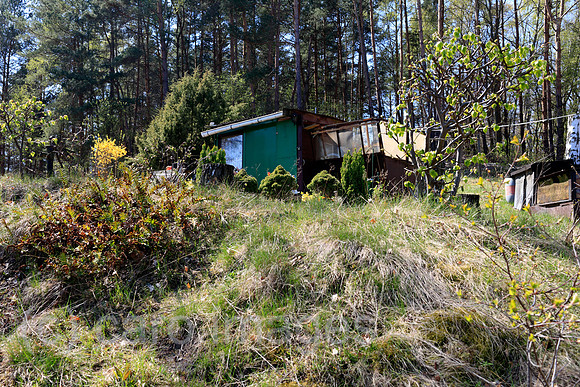 00P100425D098CARO.JPG