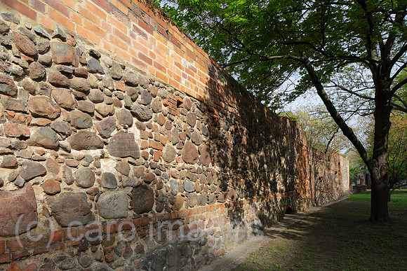 00P100429D059CARO.JPG