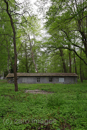00P100514D104CARO.JPG