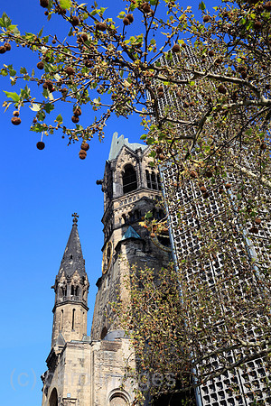 00P100428D021CARO.JPG