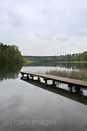 00P100513D071CARO.JPG