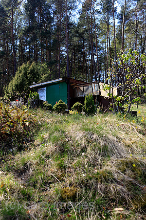 00P100425D097CARO.JPG