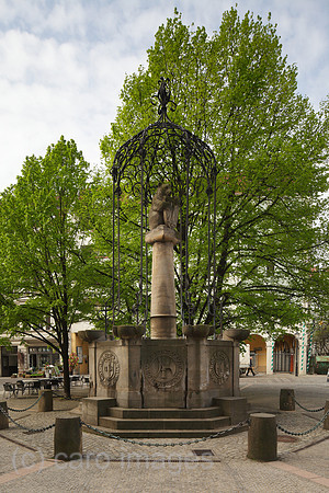 00P100429D063CARO.JPG