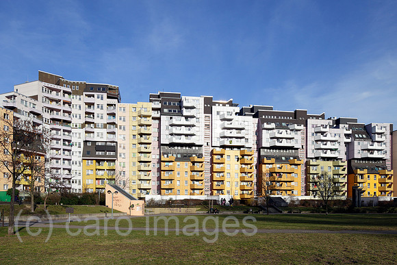 00P110323D050CARO.JPG