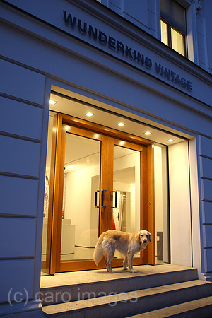 00F090122D310CARO.JPG