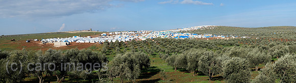 00K130203D326CARO.JPG