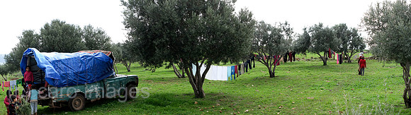 00K130203D304CARO.JPG