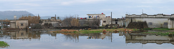 00K130203D319CARO.JPG