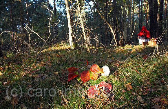 00J121013D069CARO.JPG