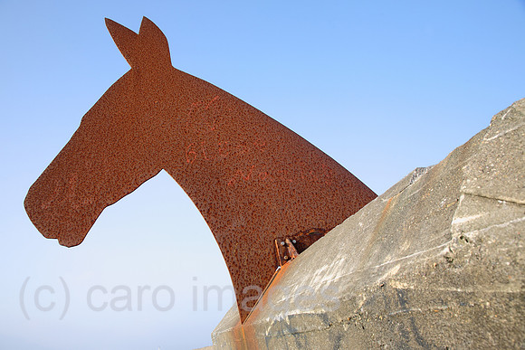 00J111112D112CARO.JPG