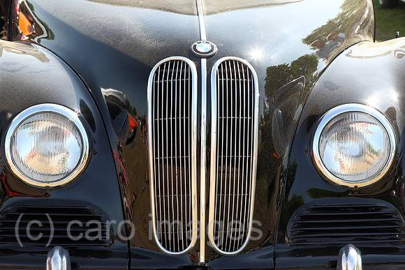 00J130519D117CARO.JPG