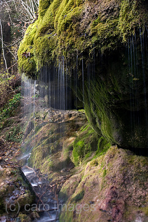 00K091027D001CARO.JPG