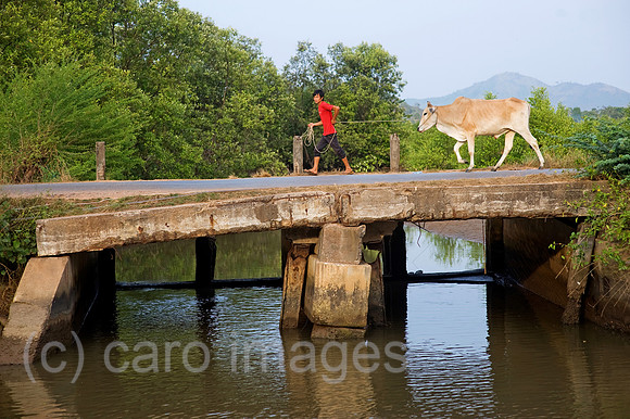 0CK091230D008CARO.JPG