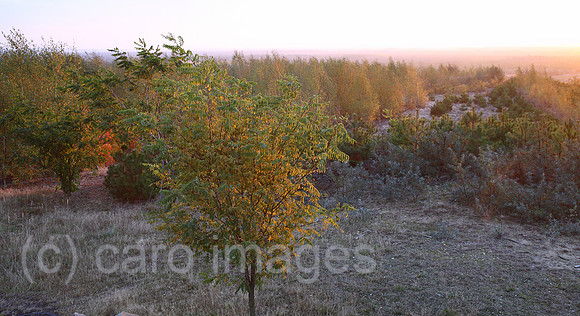00J121015D024CARO.JPG