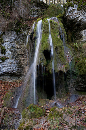 00K091027D009CARO.JPG