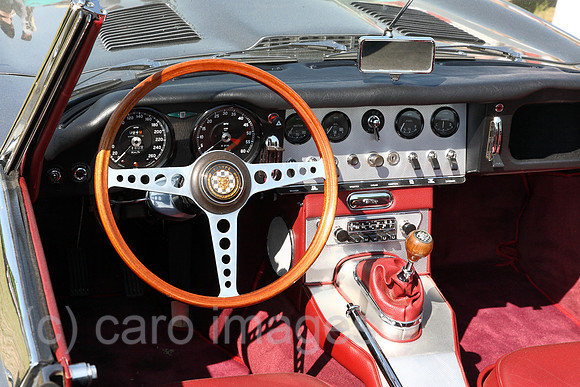 00J130519D100CARO.JPG