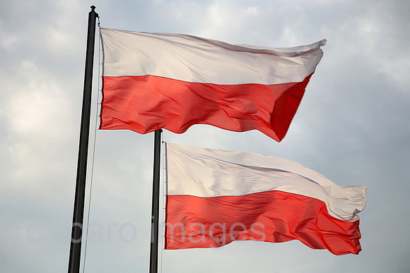 00A081111D024CARO.JPG