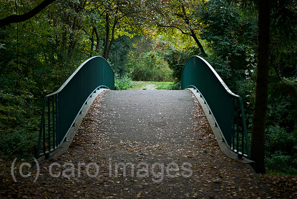 00B091019D006CARO.JPG