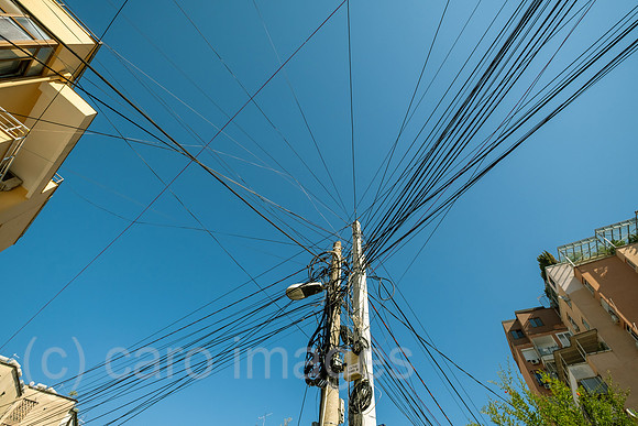 00A240921D0822CAROEX.JPG