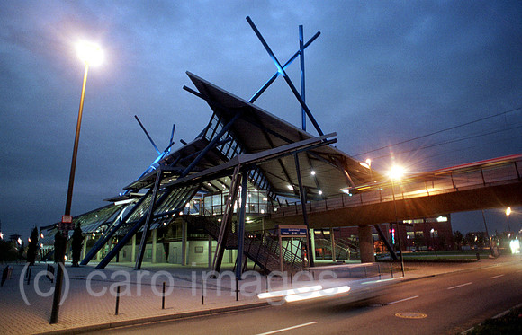 00A63306ACARO.JPG