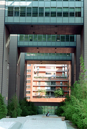 00A67826ACARO.JPG