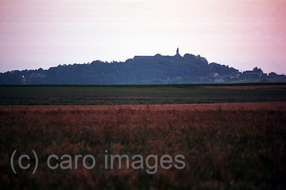 00A70115ACAROE.JPG